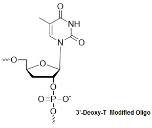 Bio-Synthesis Inc. Oligo Structure